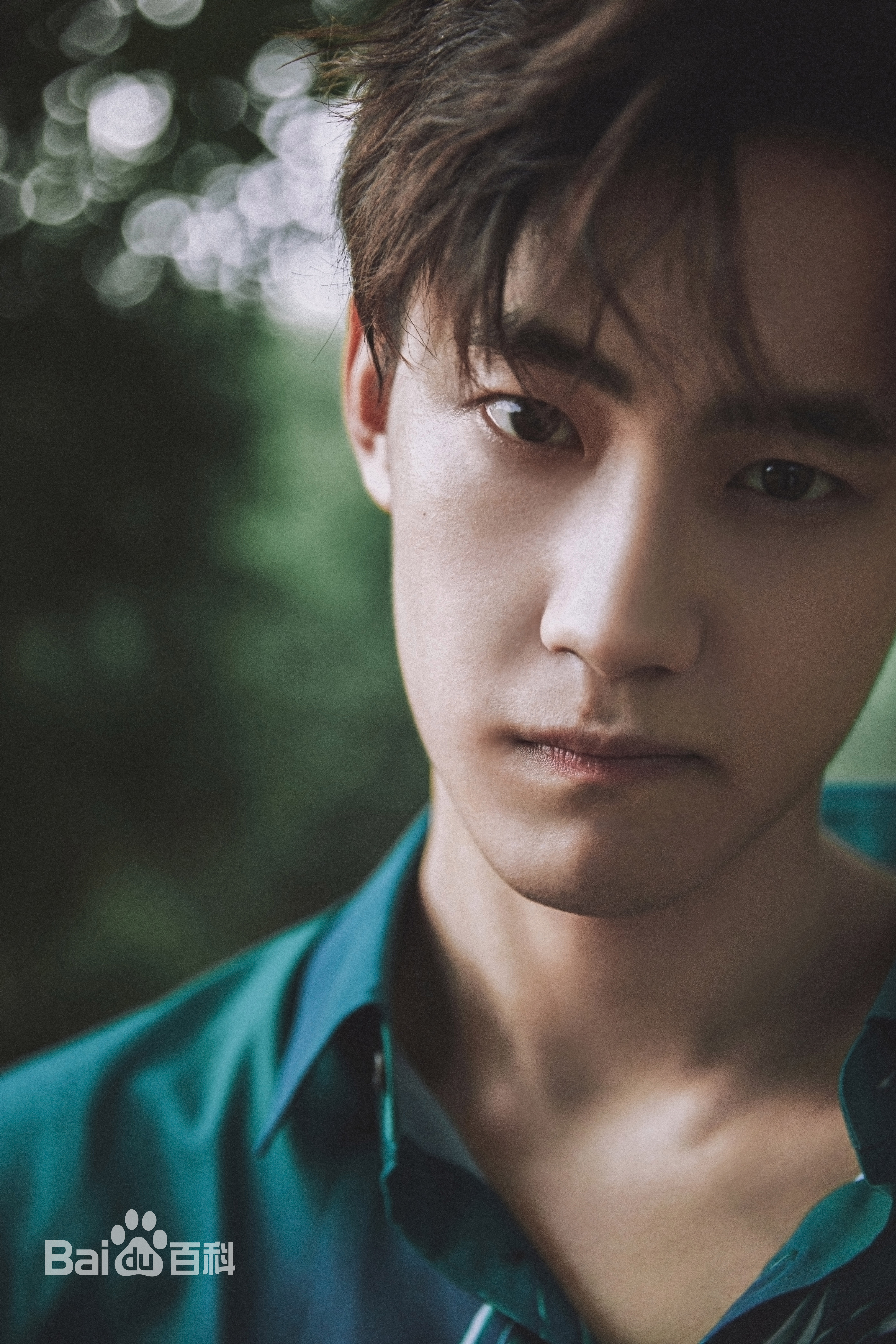 晏紫东最优质相册