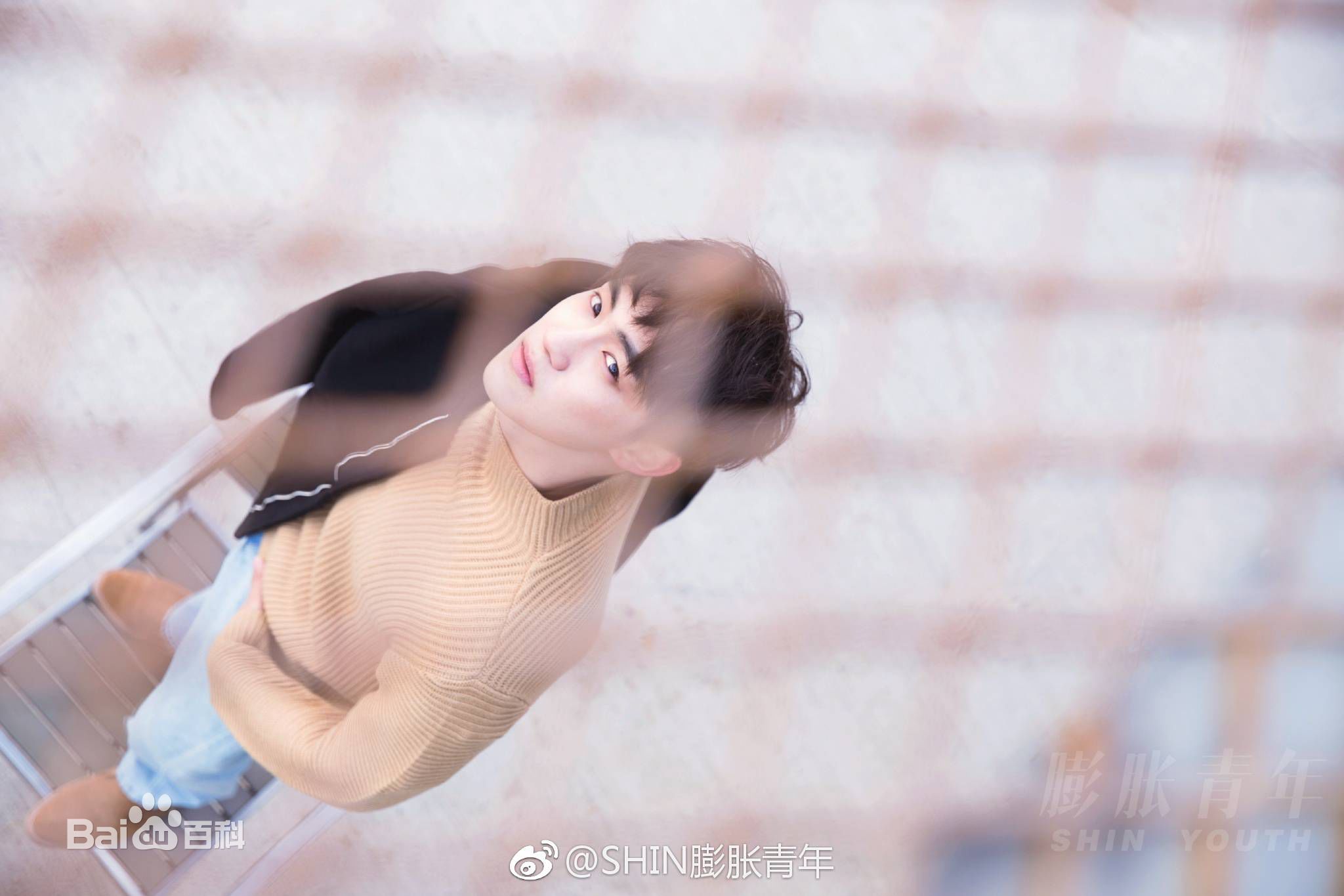 晏紫东最优质相册