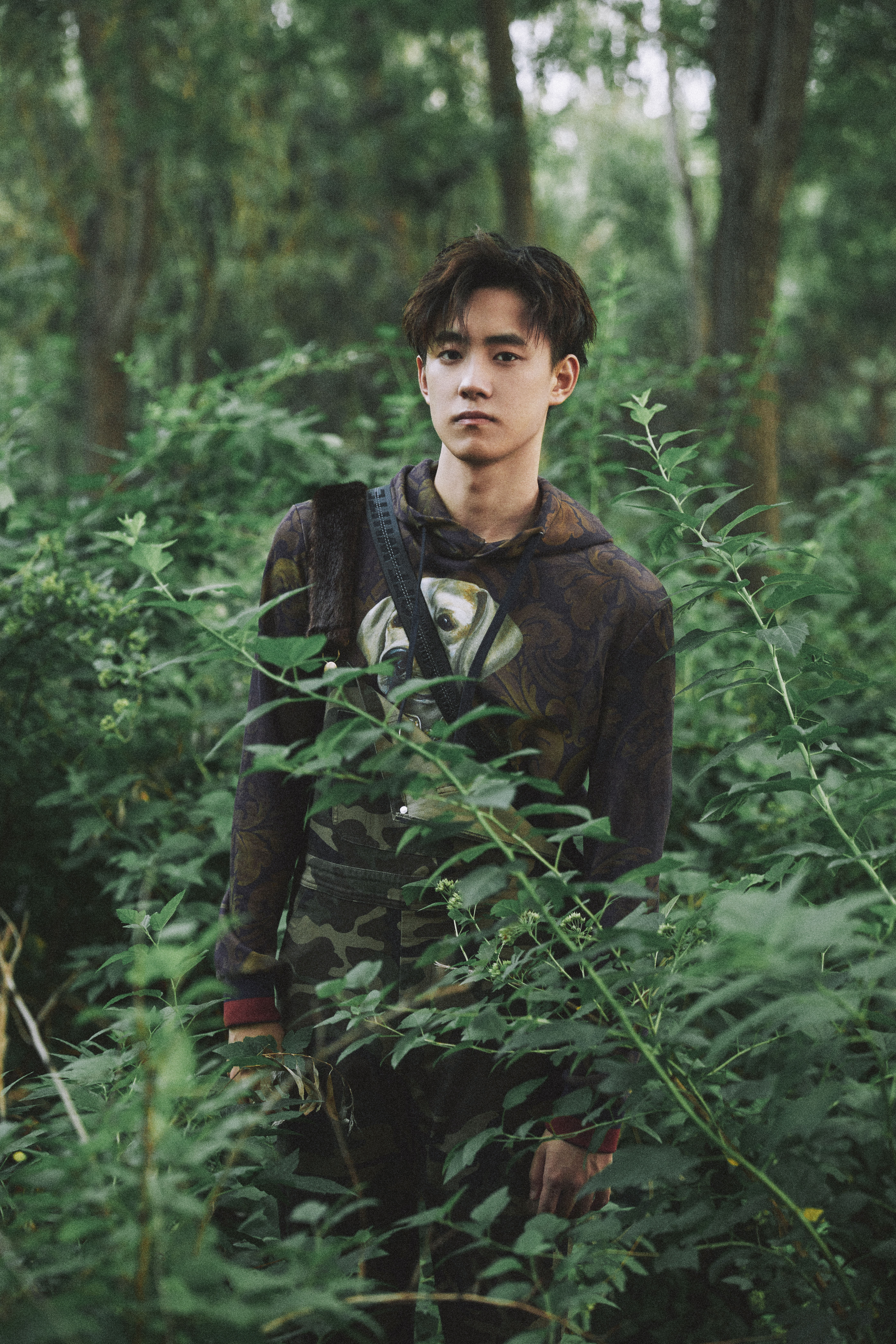 晏紫东最优质相册