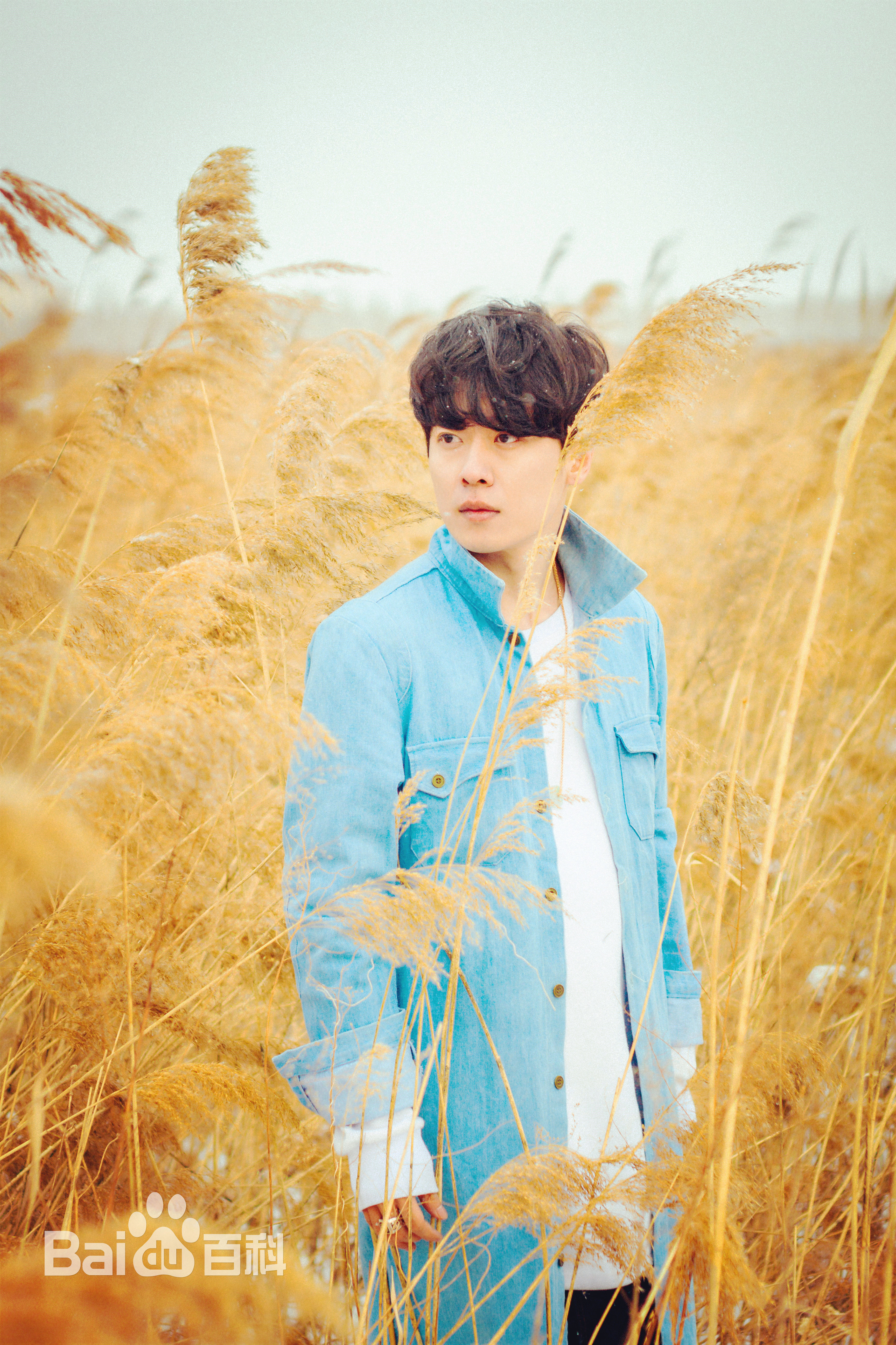 李浩修照片壁纸壁纸