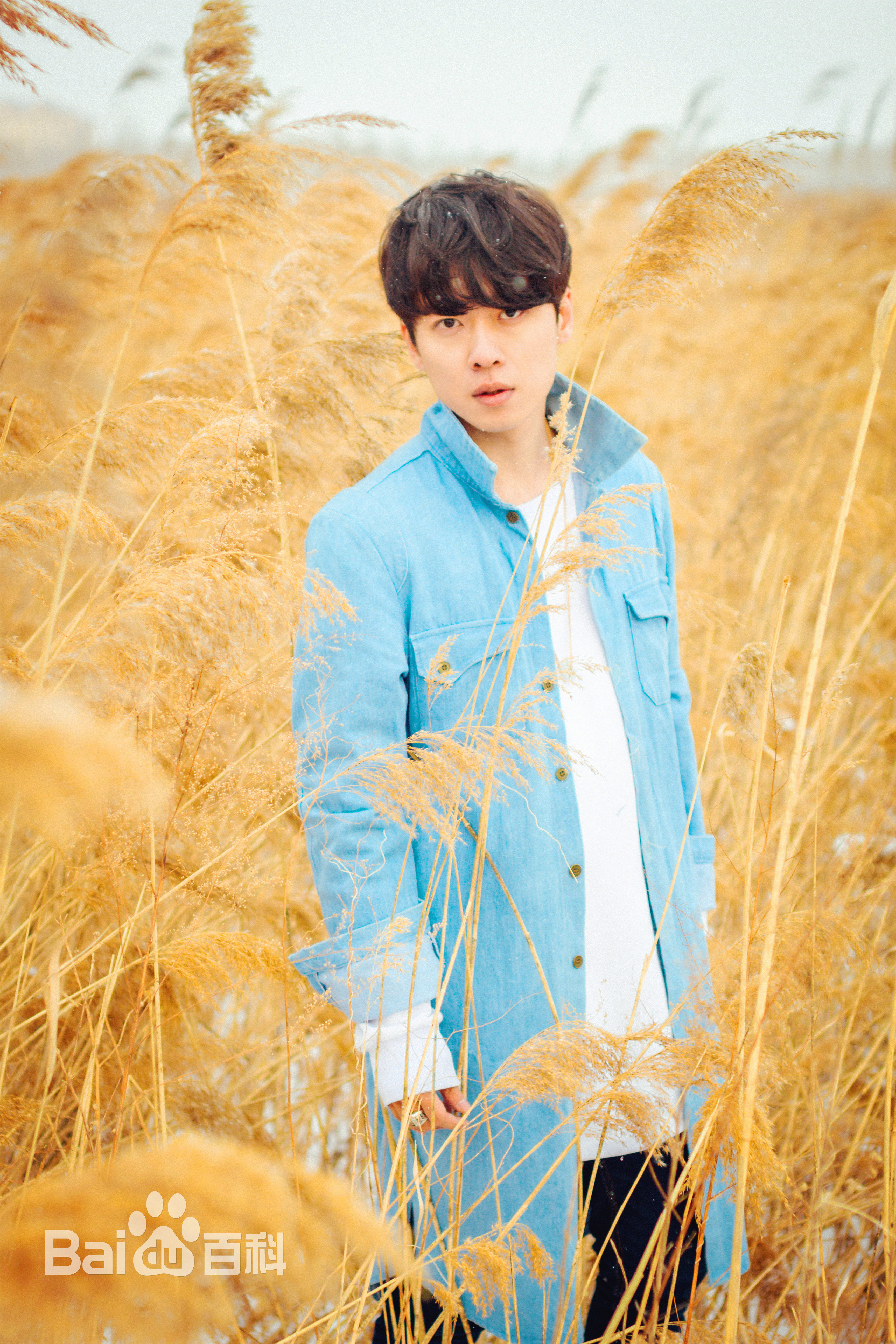 李浩修照片壁纸壁纸