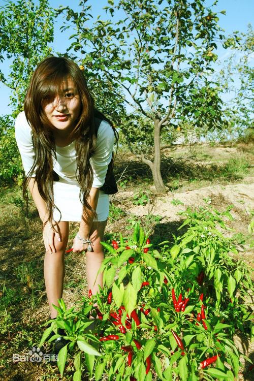 高清郑凡精彩图册