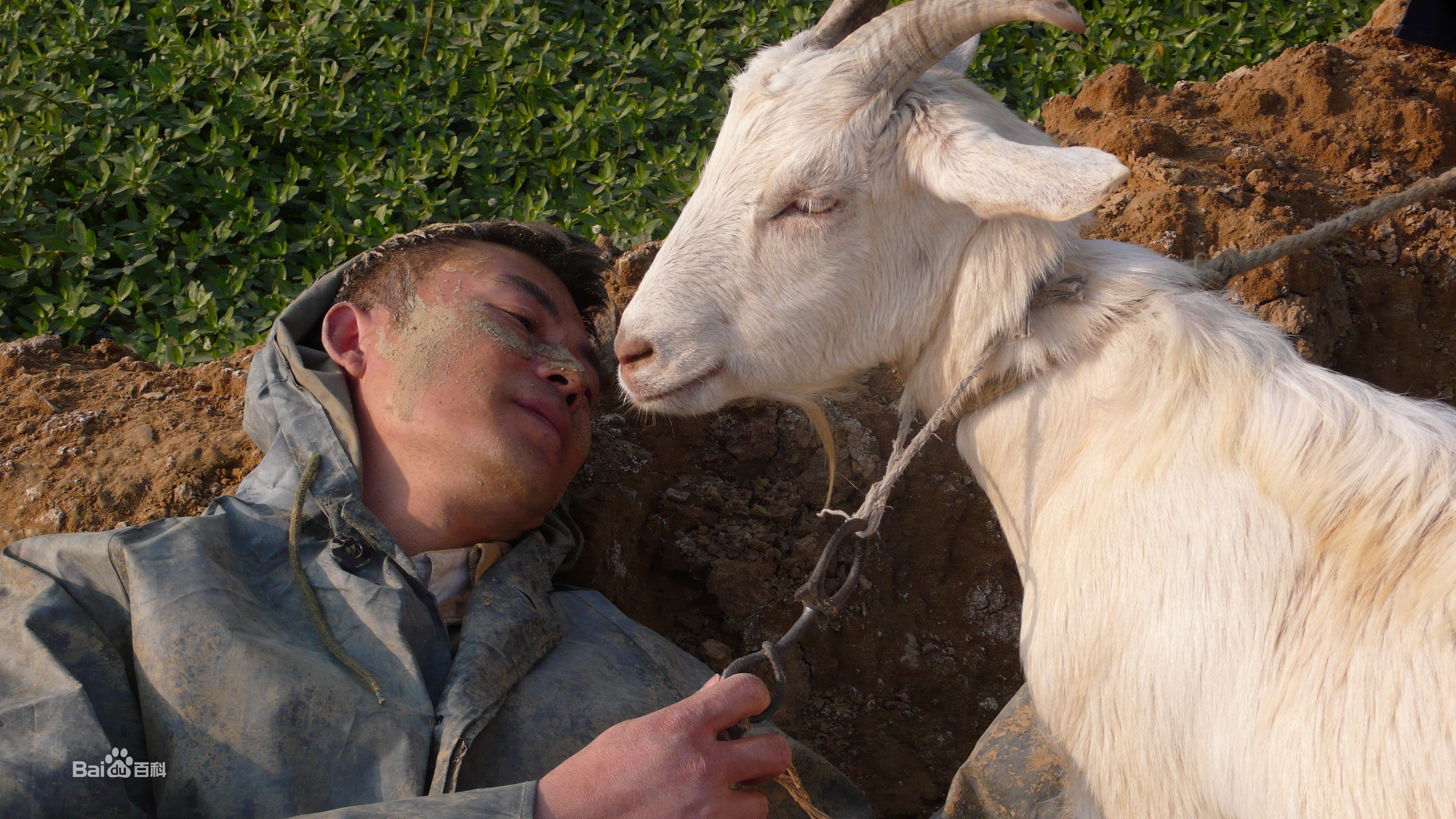 刘涛(LIU TAO)念恩桥高清剧照