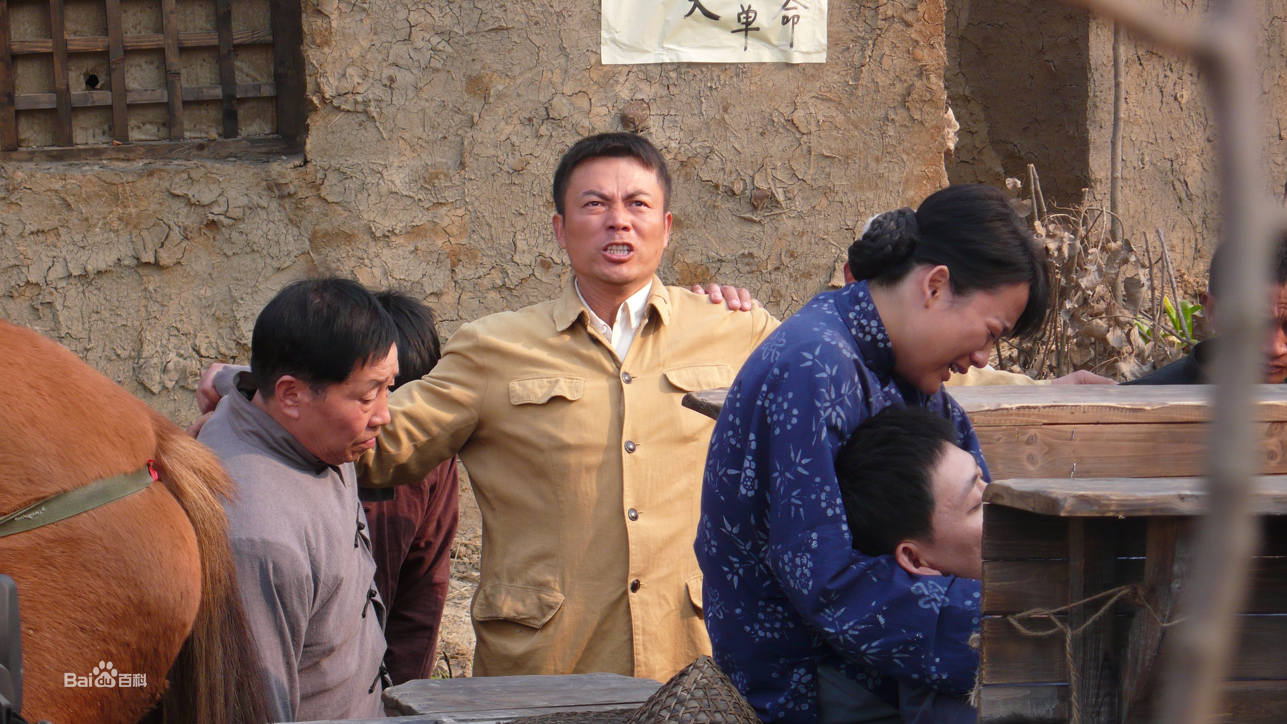 刘涛(LIU TAO)念恩桥高清剧照