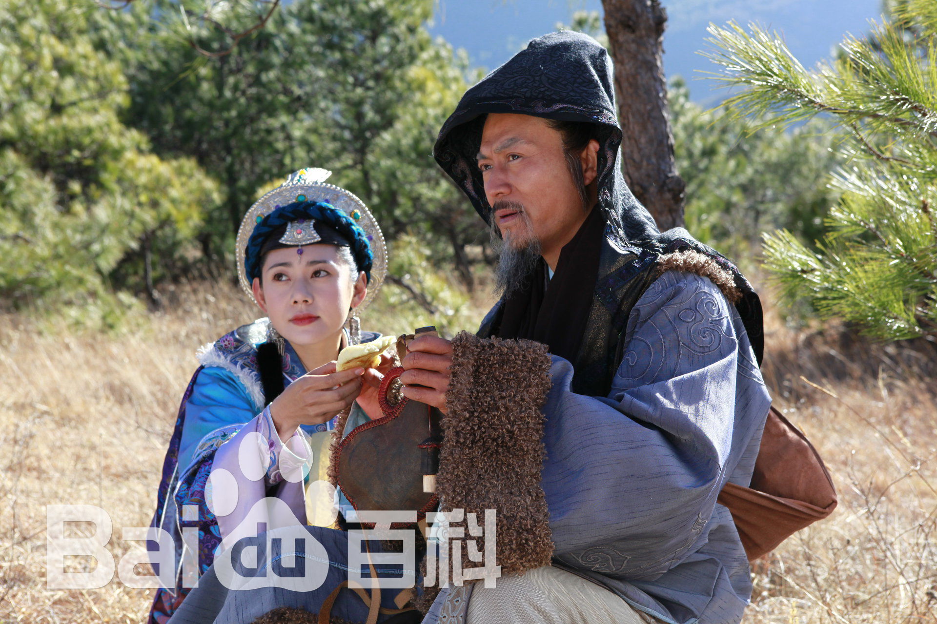 刘涛(LIU TAO)幕府风云精选剧照