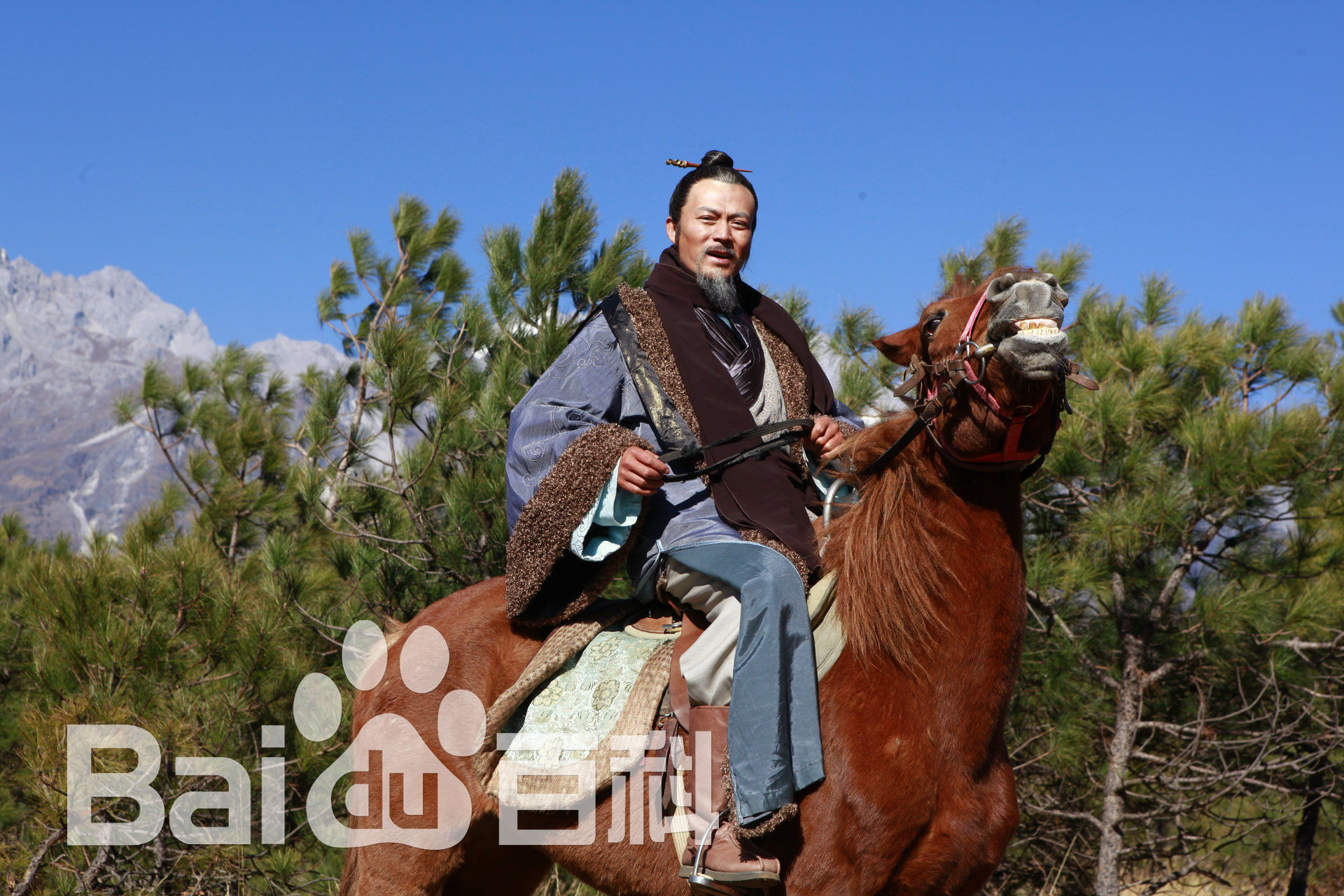 刘涛(LIU TAO)幕府风云精选剧照