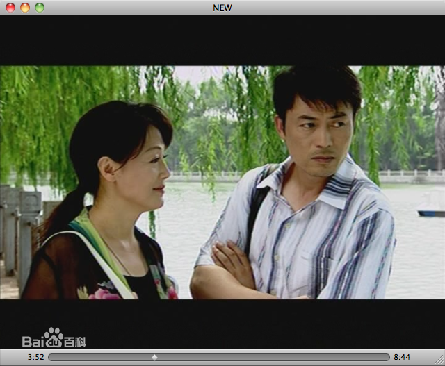 刘涛(LIU TAO)下一站是幸福壁纸壁纸