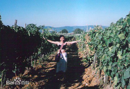 顺子(Shunza)环游世界生活照