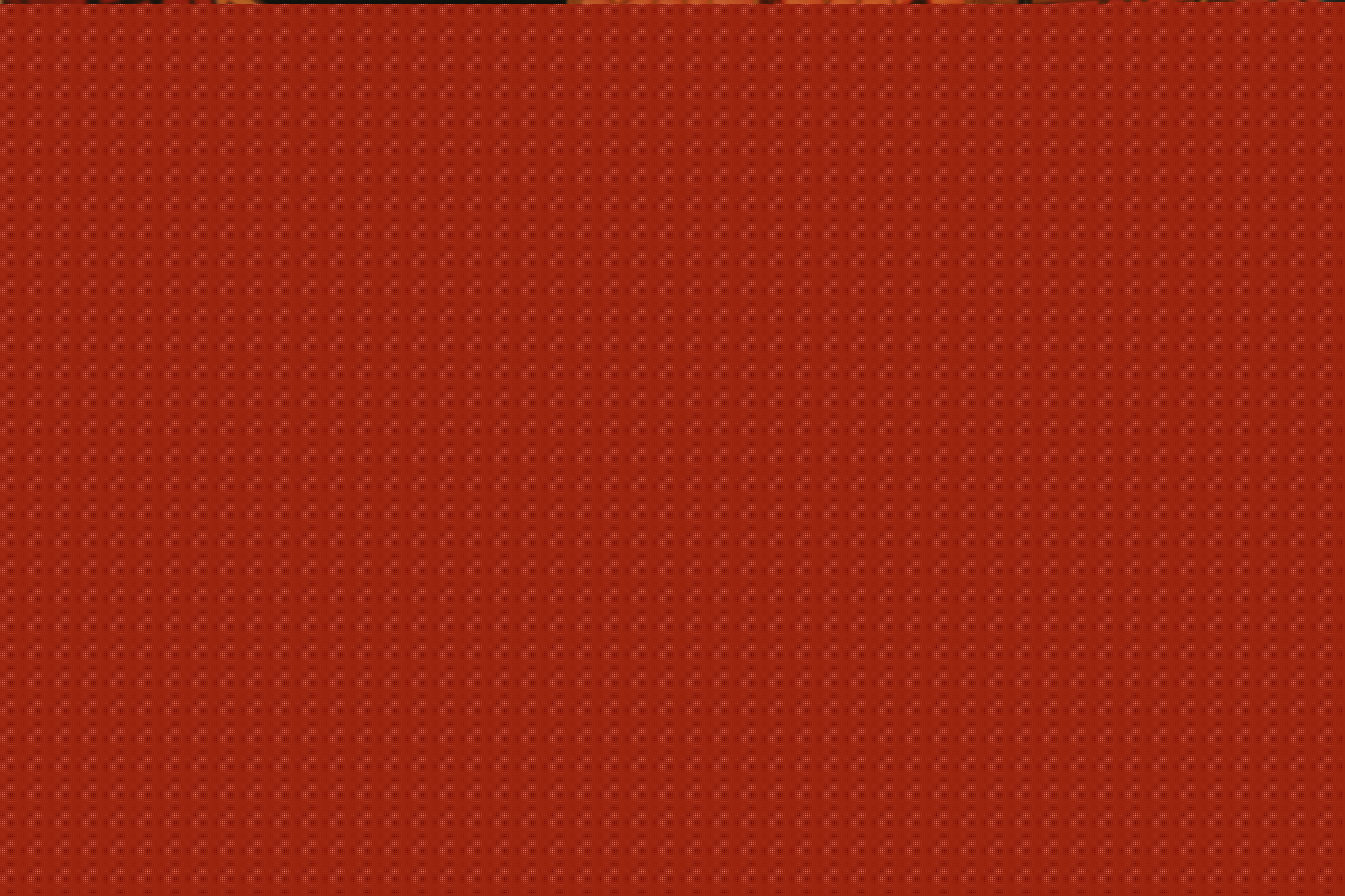 贾石头精选剧照