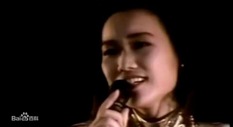 五轮真弓最新壁纸