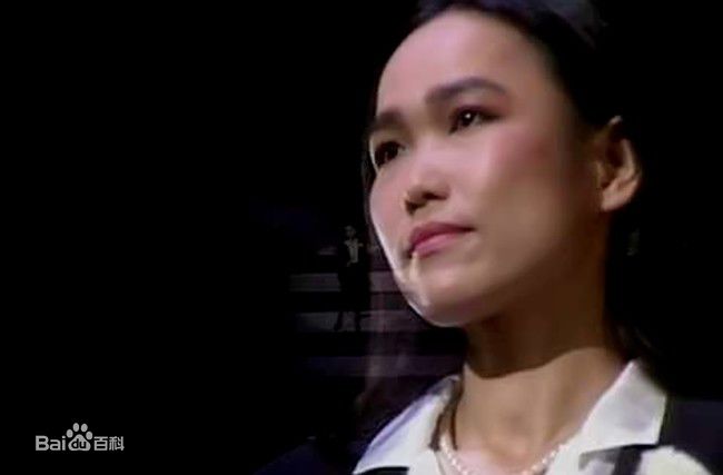 五轮真弓最新壁纸