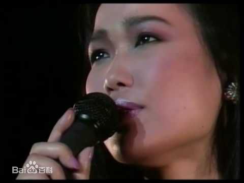 五轮真弓歌唱演出素颜照相册