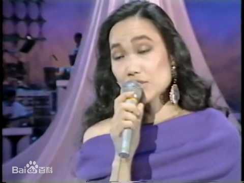 五轮真弓歌唱演出素颜照相册