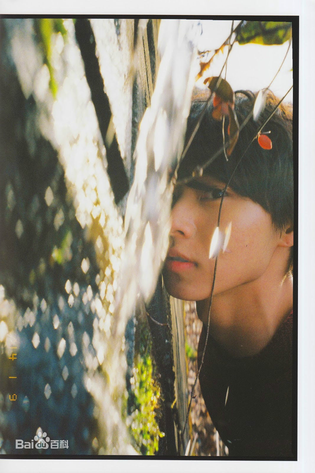 山崎贤人(やまざき　けんと)精选图册