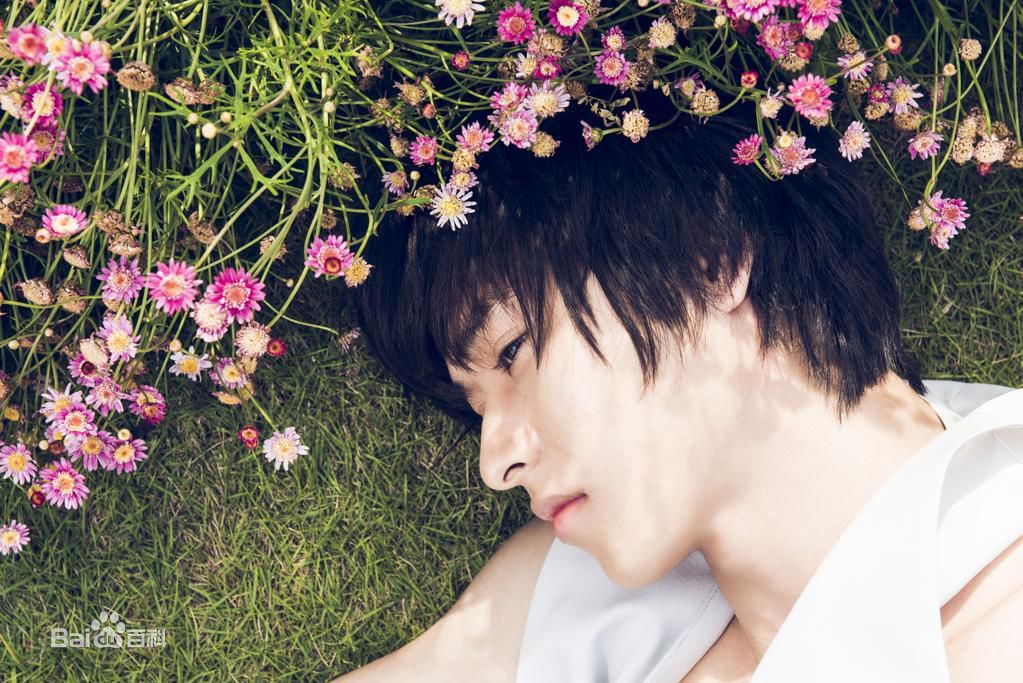 山崎贤人(やまざき　けんと)精选图册