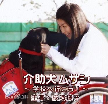 最全白石美帆(しらいし みほ、Miho Shiraishi)壁纸