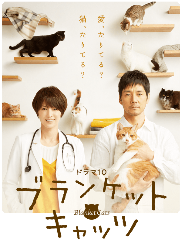 最全吉濑美智子(キチセミチコ Michiko Kichise)壁纸万佳直播吧