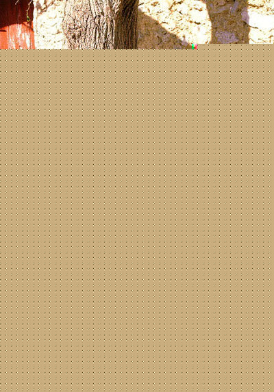 井之原快彦(井ノ原快彦、INOHARA YOSHIHIKO)濑户朝香生活照