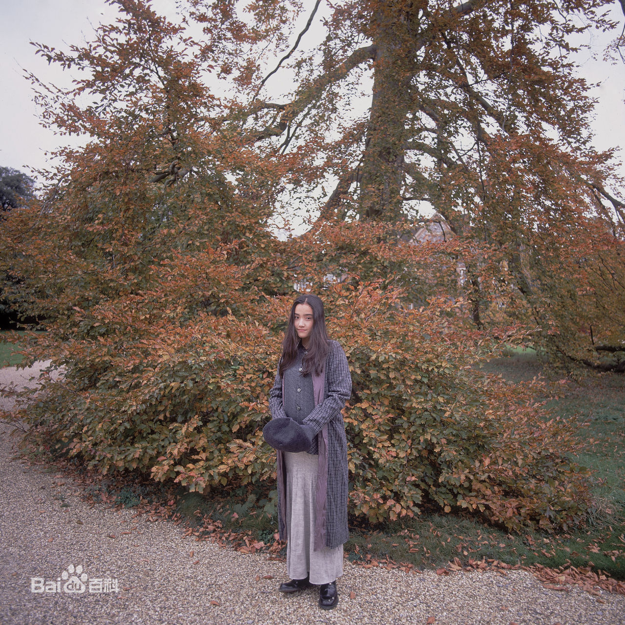 最优质一色纱英精彩图册