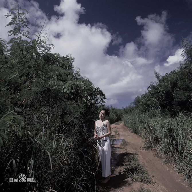 最优质一色纱英精彩图册