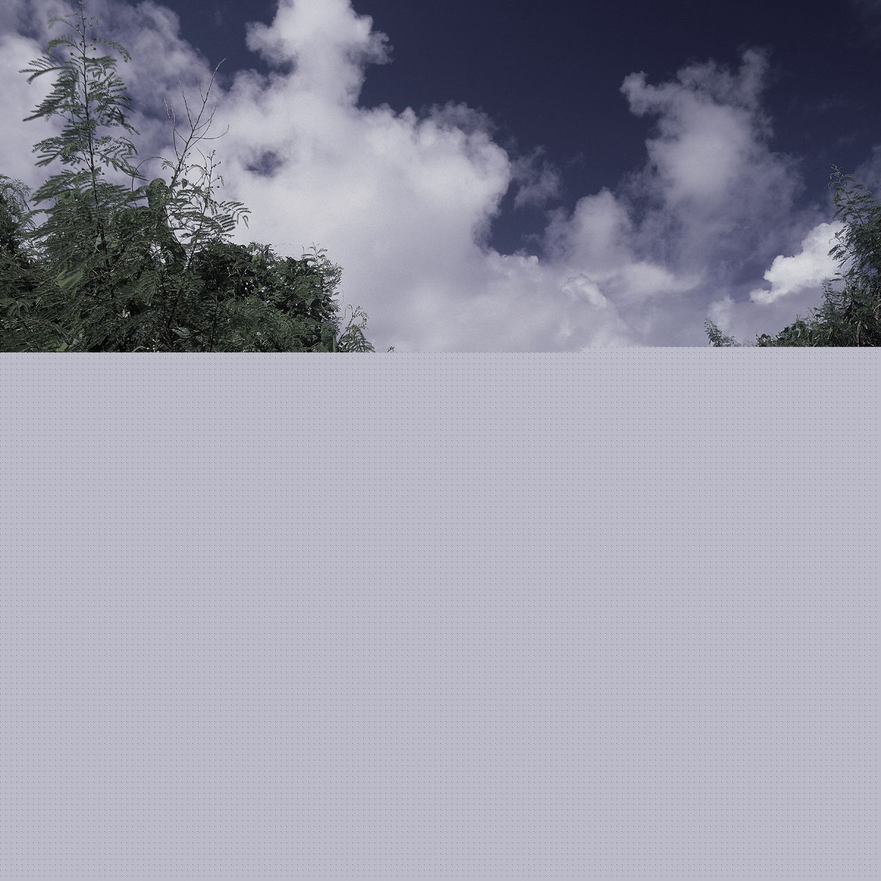 最优质一色纱英精彩图册