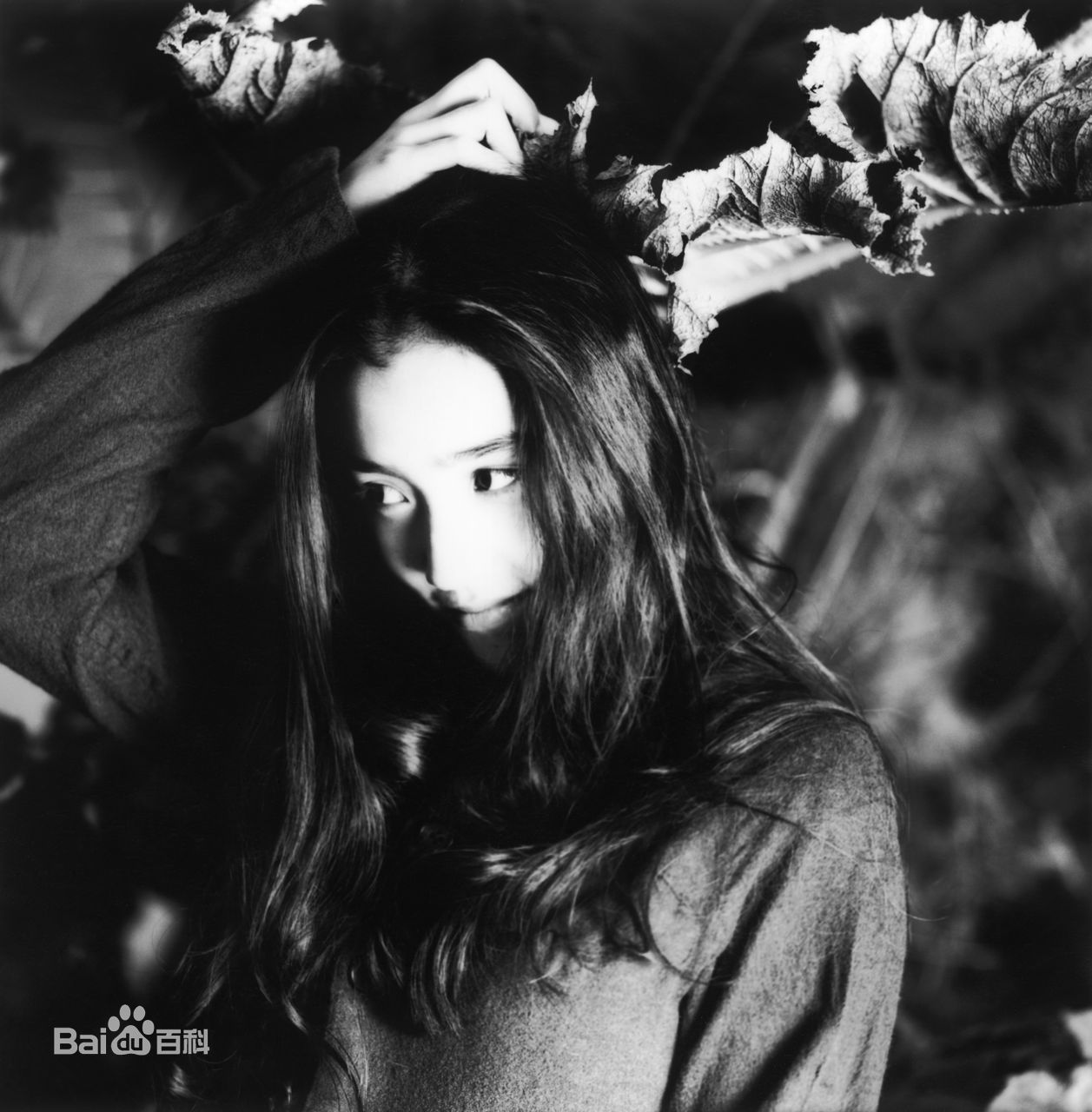 最优质一色纱英精彩图册