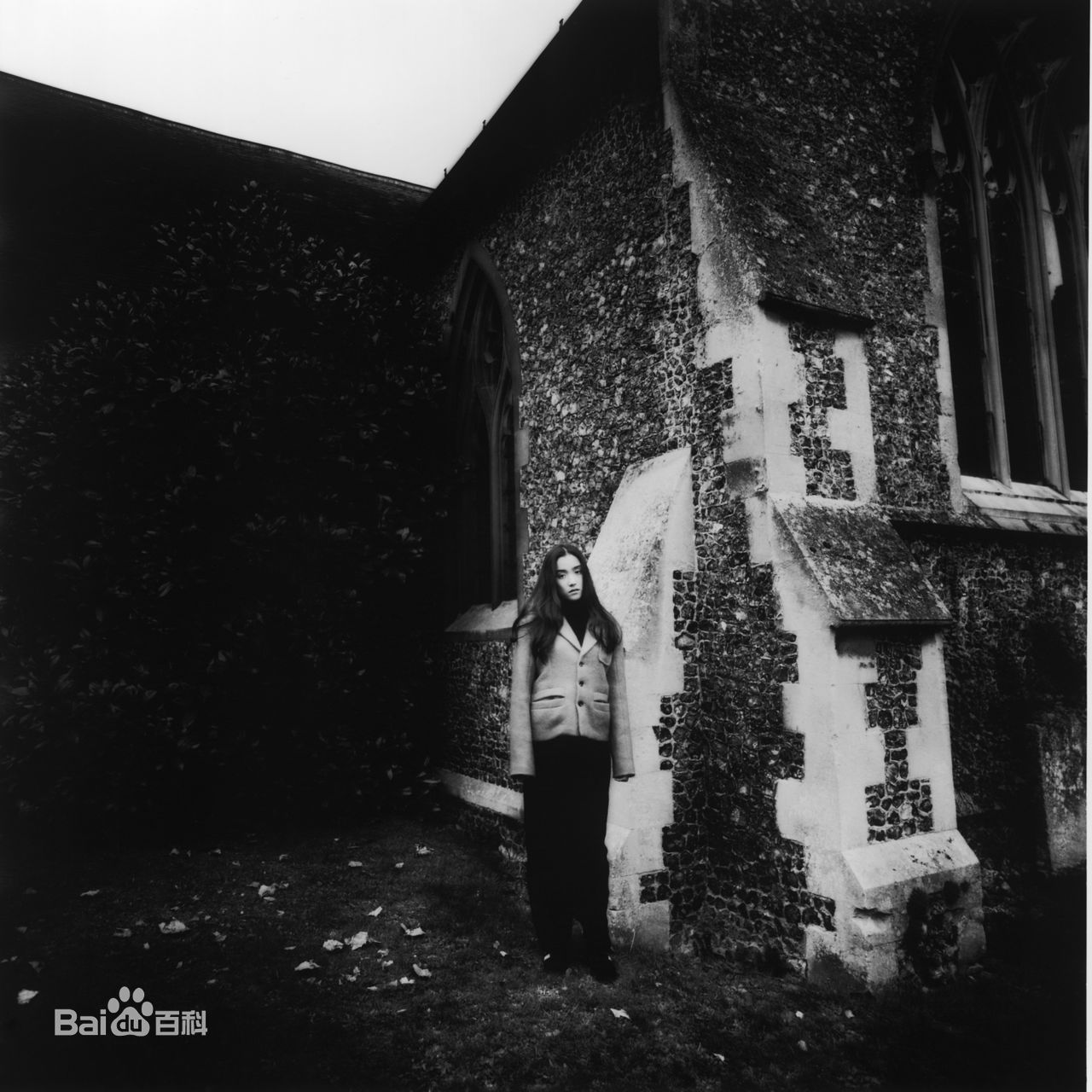 最优质一色纱英精彩图册