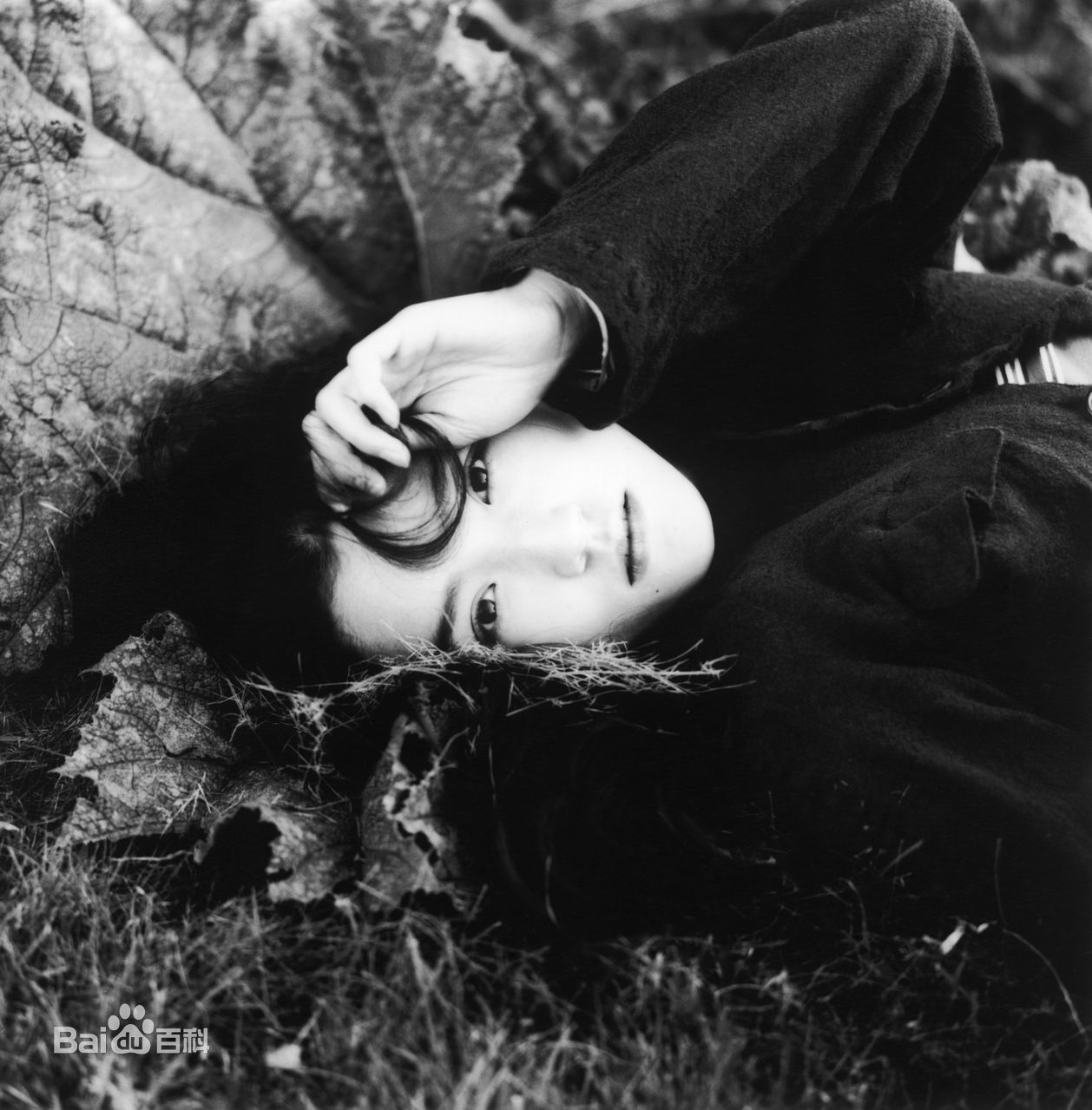 高清一色纱英精彩图册