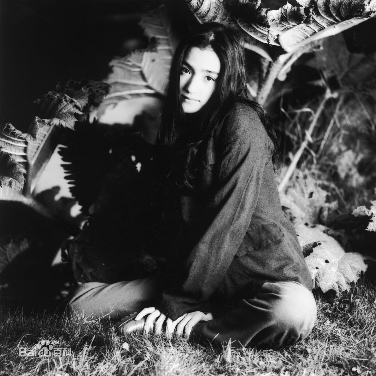 高清一色纱英精彩图册