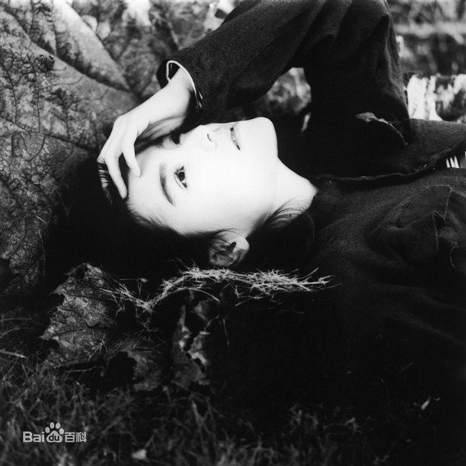 高清一色纱英精彩图册