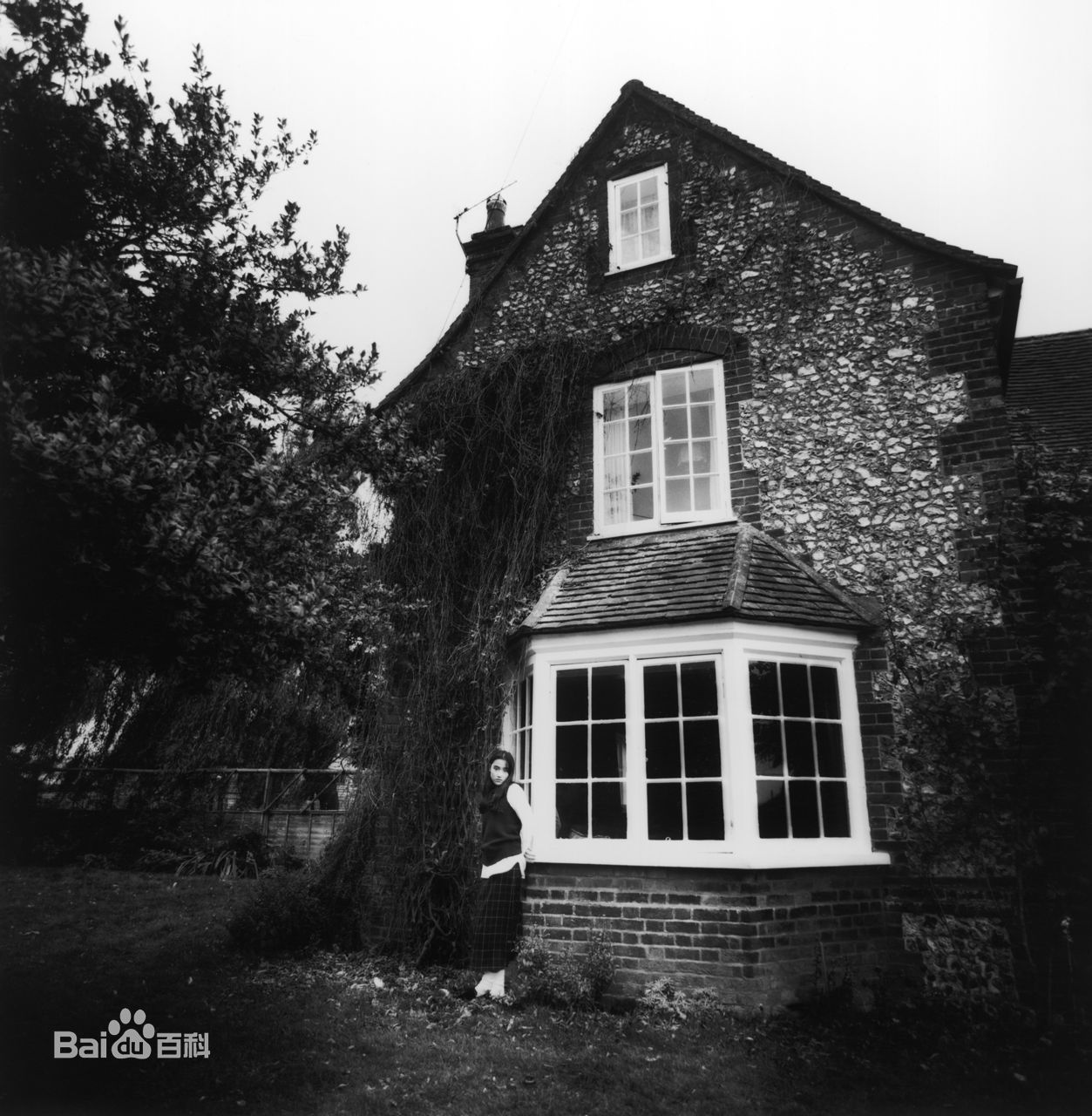 高清一色纱英精彩图册