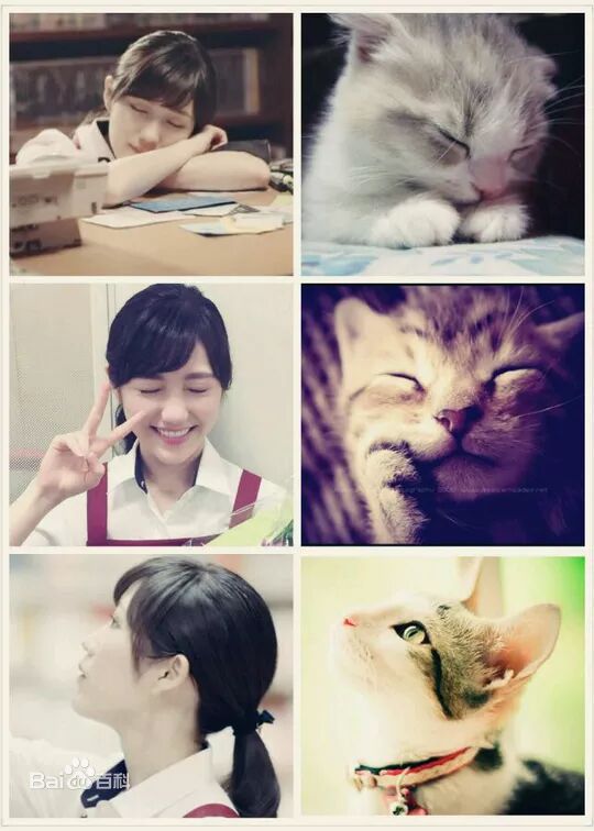 渡边麻友(渡辺麻友（わたなべ まゆ）)麻友美颜相册生活照相册