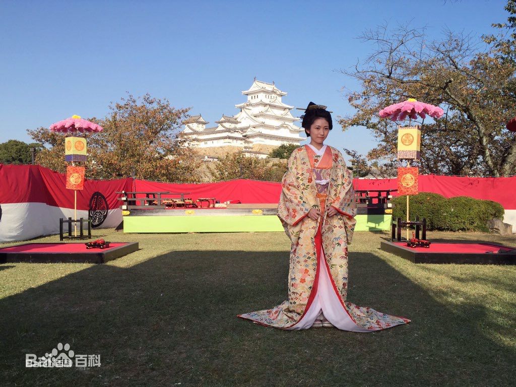 渡边麻友(渡辺麻友（わたなべ まゆ）)影视高清剧照