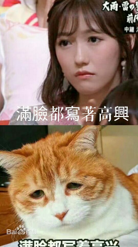 渡边麻友(渡辺麻友（わたなべ まゆ）)表情包相册性感图片图集