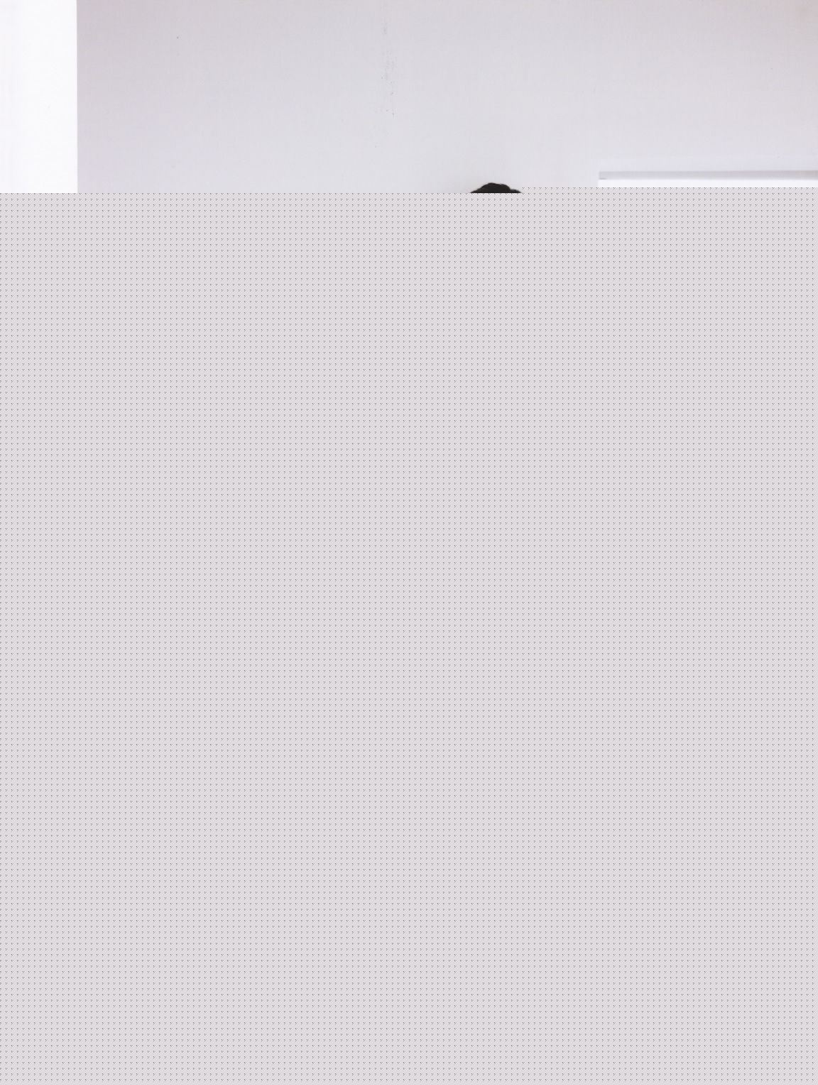 最优质渡边麻友(渡辺麻友（わたなべ まゆ）)精彩图册