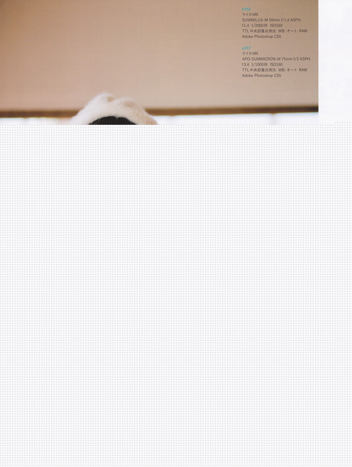 精选渡边麻友(渡辺麻友（わたなべ まゆ）)精彩图册