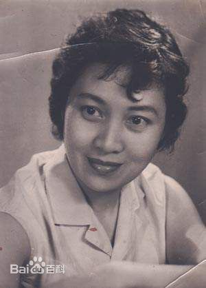 最全张圆精彩图册