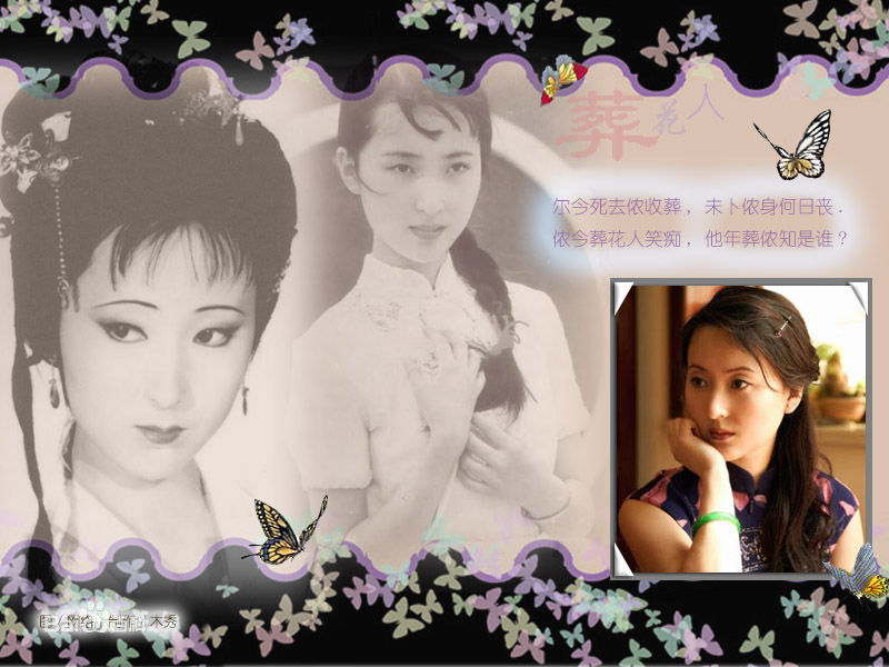 陈晓旭思旭壁纸生活照相册