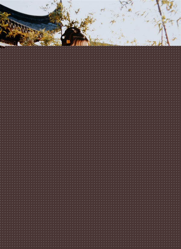 陈晓旭精彩图册