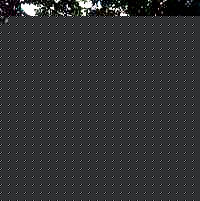 吴文化(Wu Culture)前后照片