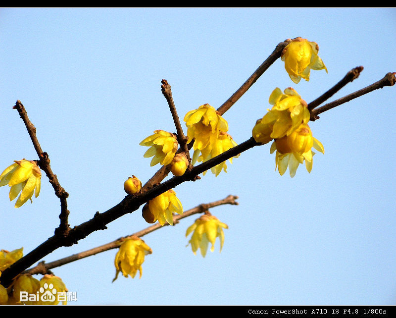 精选左腾云图片