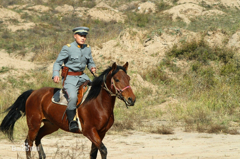 最新葛子铭性感图片