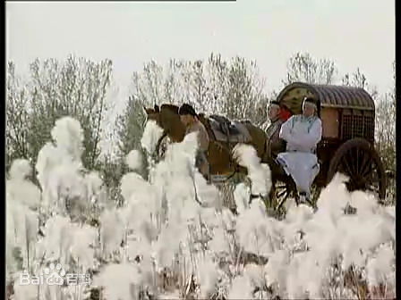 荆明华电影最新剧照