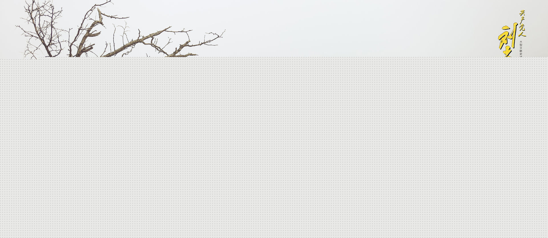 赵波《 共产党人刘少奇》剧照