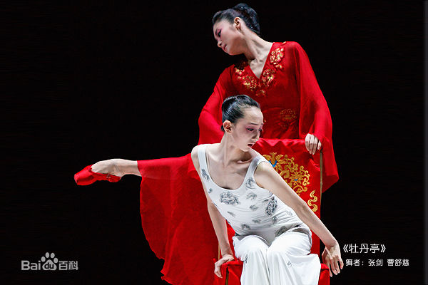 曹舒慈的芭蕾艺术相册素颜照壁纸