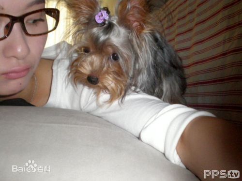 葛晓凤高清的照图集