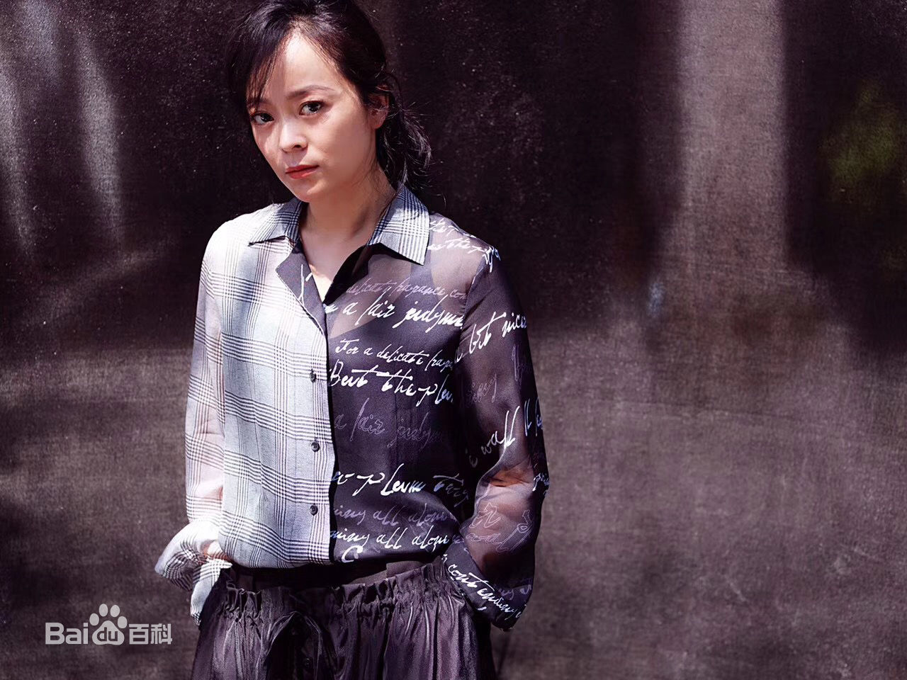 王嘉(Wang Jia) 集