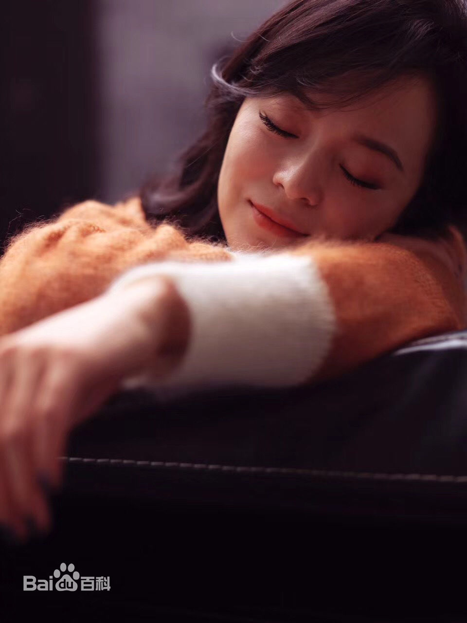 王嘉(Wang Jia) 集