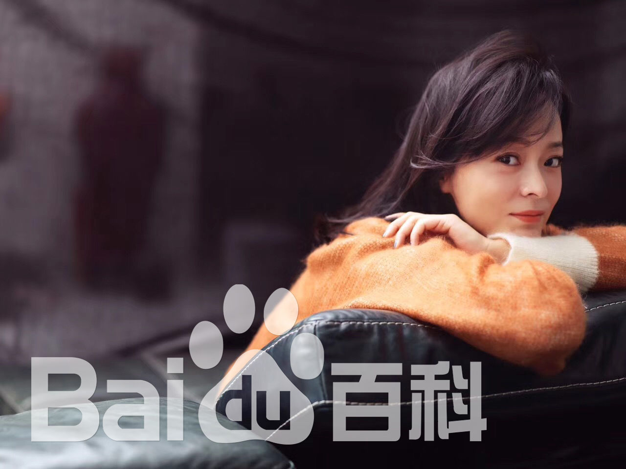 王嘉(Wang Jia) 集