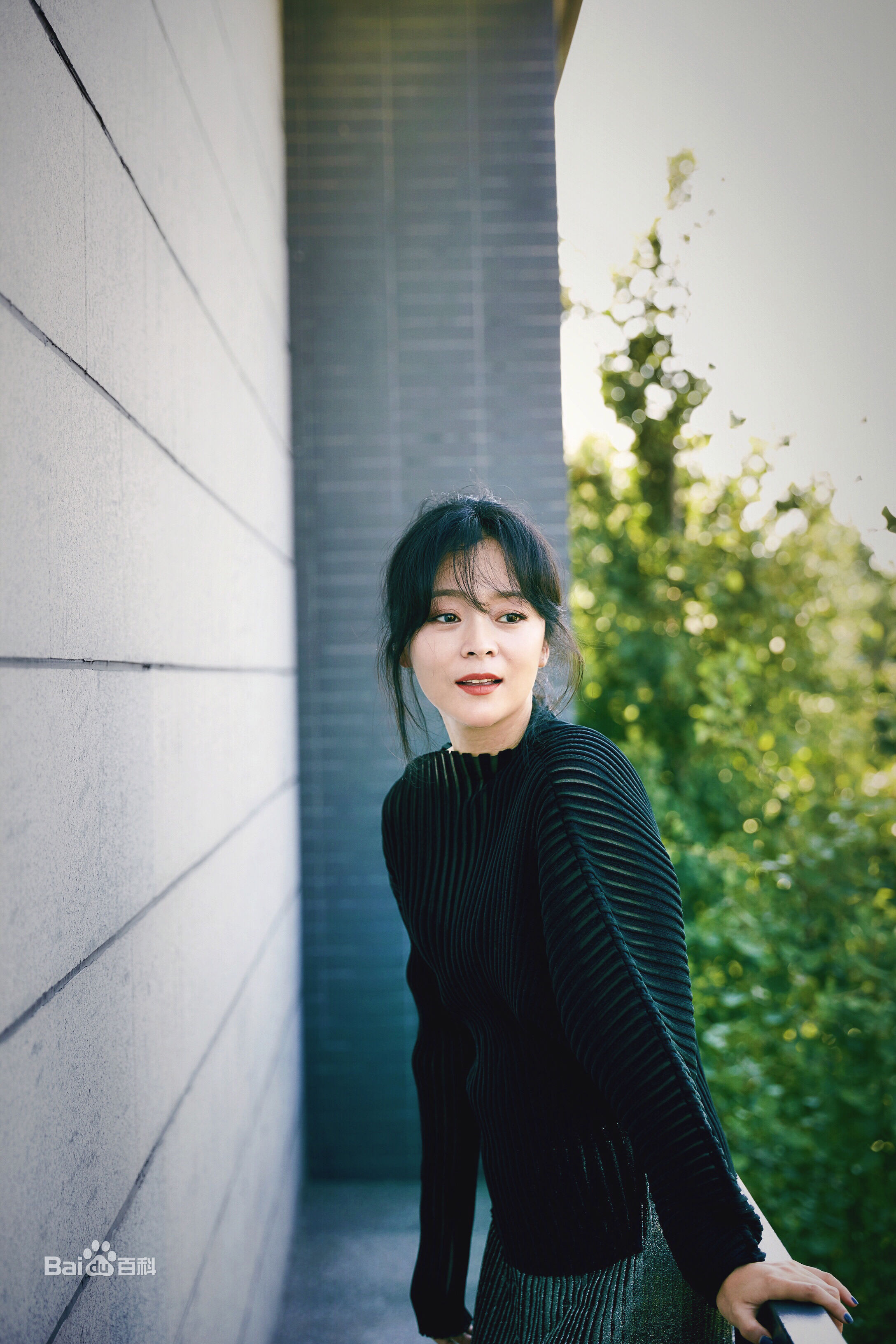 王嘉(Wang Jia) 集